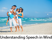 Understanding Speech In Wind